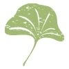 Ginko leaf